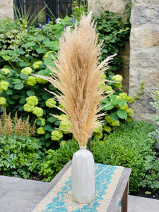 Dried Pampas Grass in Brown